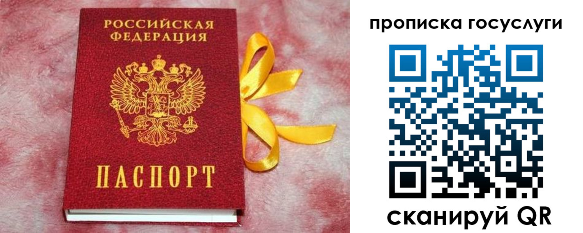 прописка законно в Старом Осколе